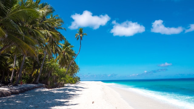Évasion tropicale : les meilleures destinations pour des vacances de plage